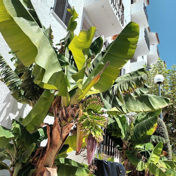 Apartmán Nora Velha T1 Tavira Exteriér fotografie